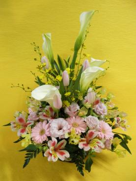 プロローグ(^^♪｜「花よね」　（熊本県熊本市中央区の花キューピット加盟店 花屋）のブログ