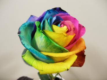 Love Rainbow☆｜「花よね」　（熊本県熊本市中央区の花キューピット加盟店 花屋）のブログ