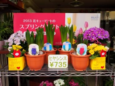 ナイストライ 2日目♪♪｜「花よね」　（熊本県熊本市中央区の花キューピット加盟店 花屋）のブログ